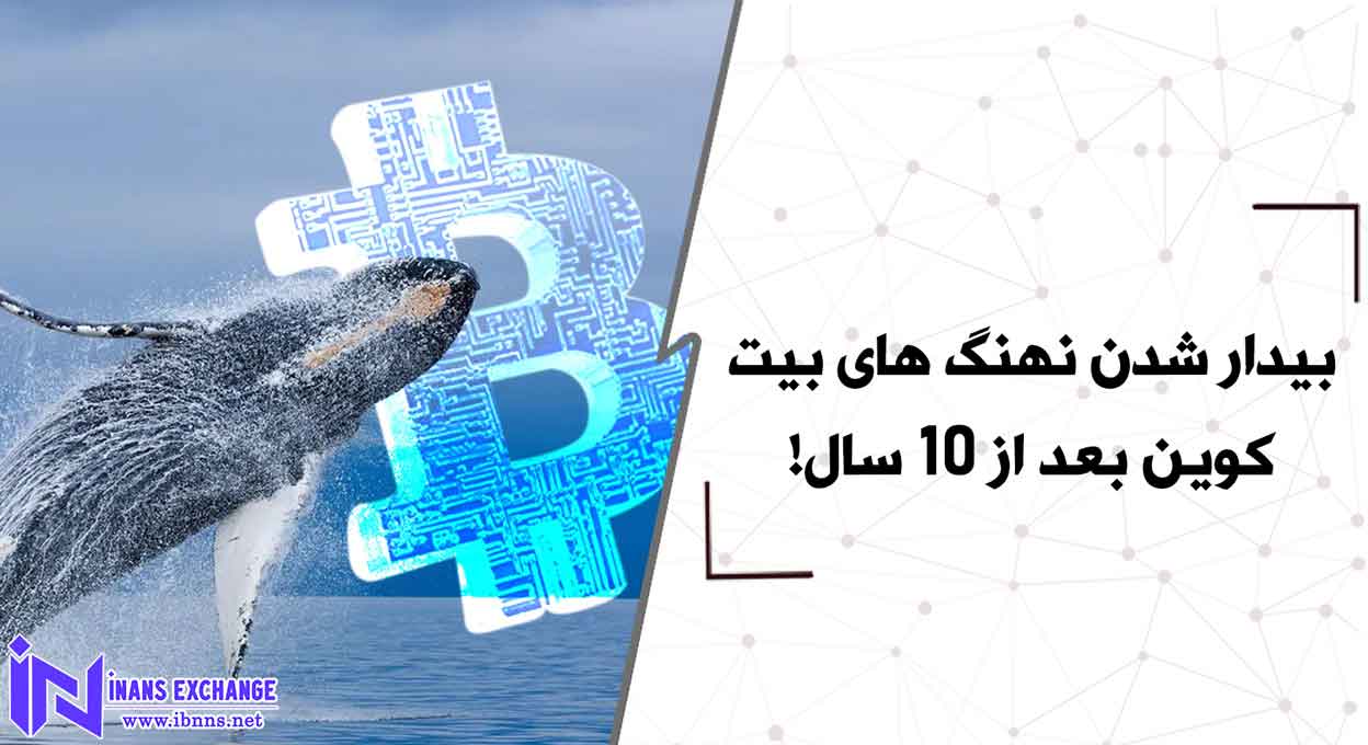 بیدار شدن نهنگ های بیت کوین بعد از 10 سال!