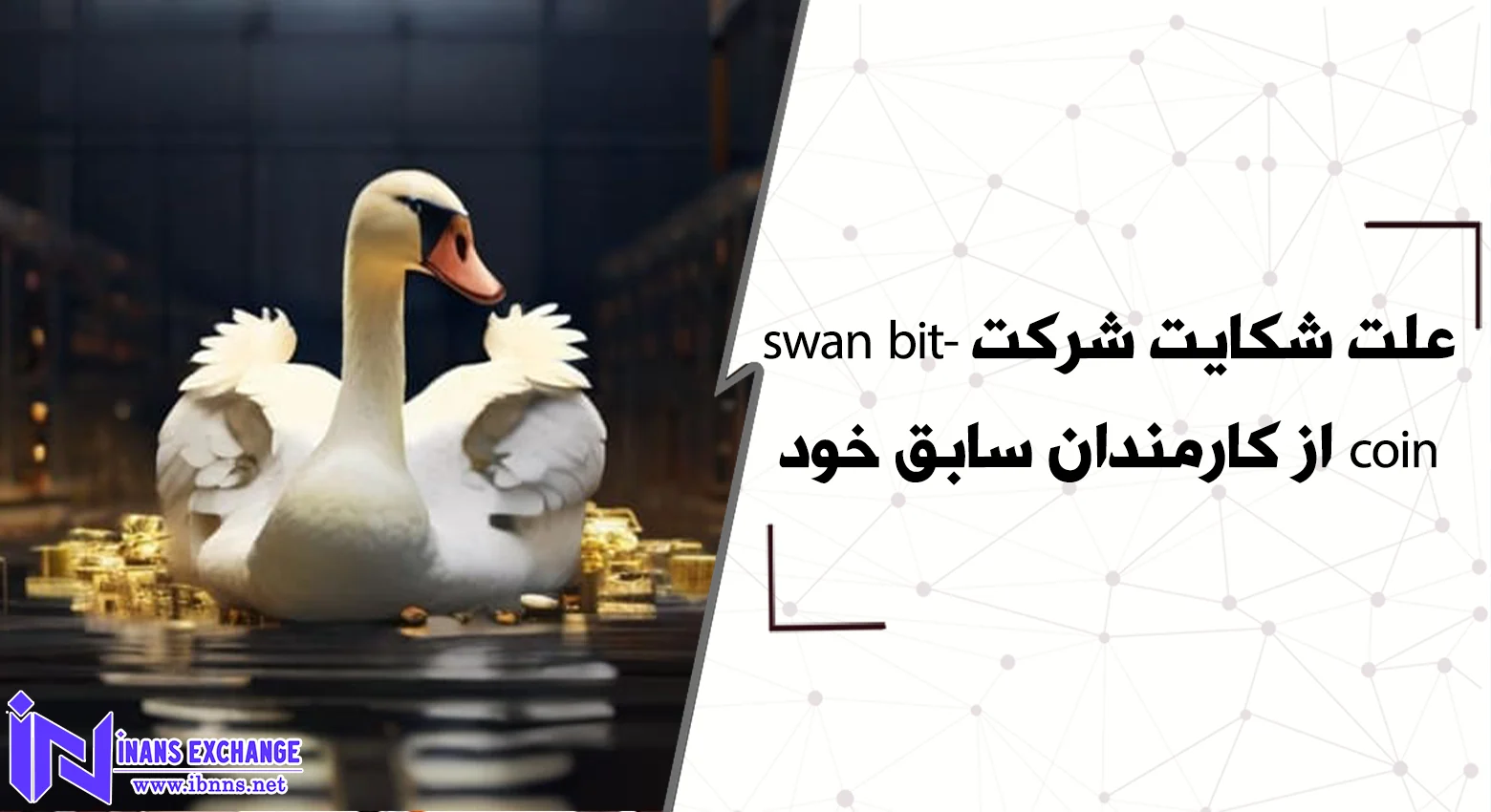 علت شکایت شرکت swan bitcoin از کارمندان سابق خود